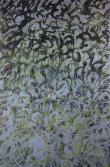 Migration