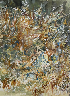 The Light in the Forest